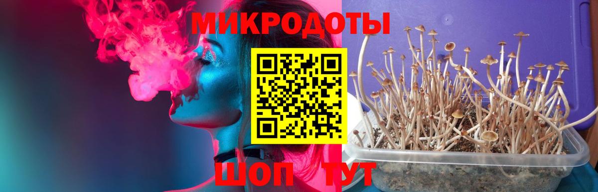 Галлюциногенные грибы мухоморы Крымск